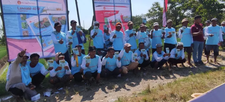 PELUNCURAN PRODUK LANNATE® 25 WP DAN LANNATE® 40 SP DI WILAYAH BREBES