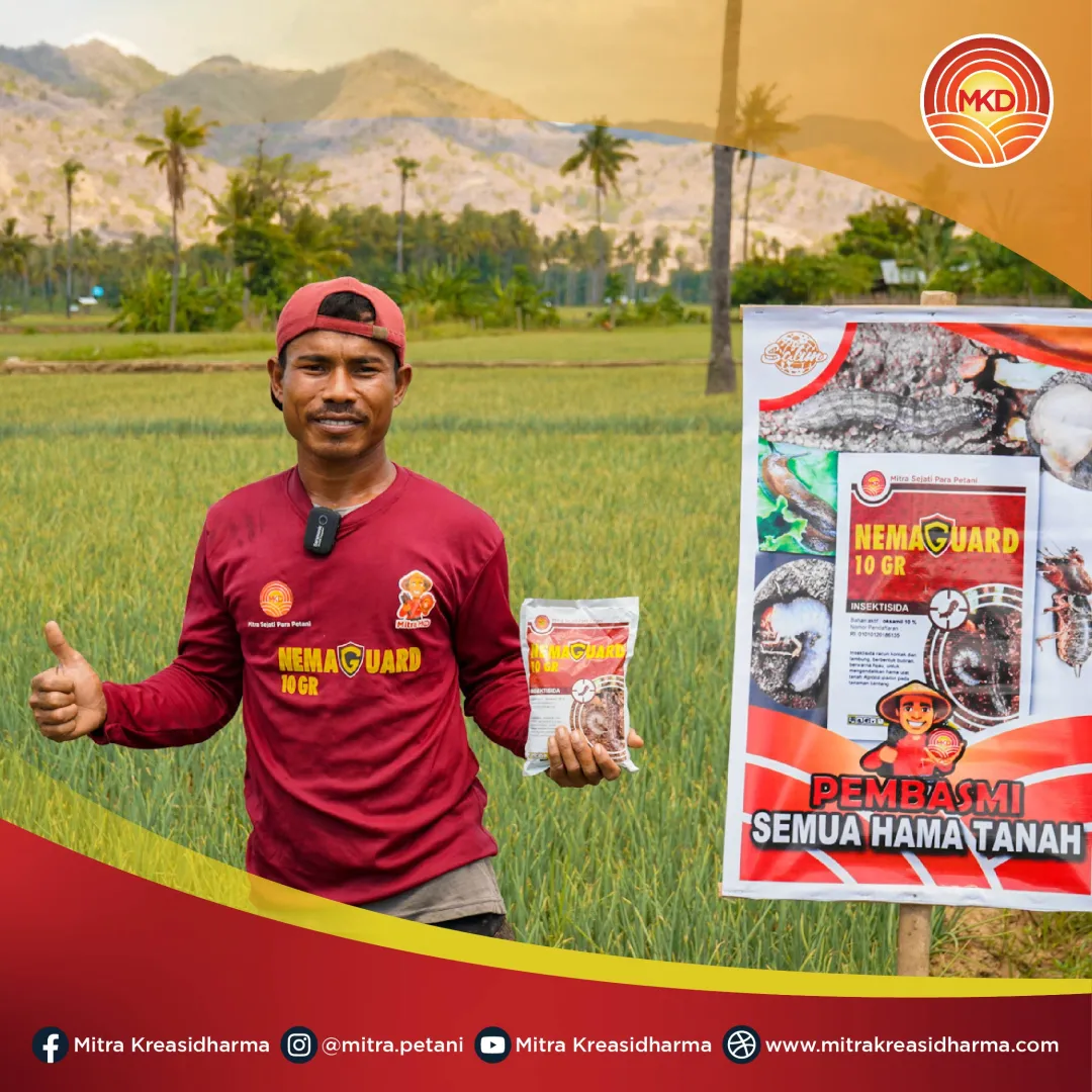 MELINDUNGI TANAMAN BAWANG MERAH ANDA: PRAKTIK TERBAIK UNTUK PERLINDUNGAN EFEKTIF
