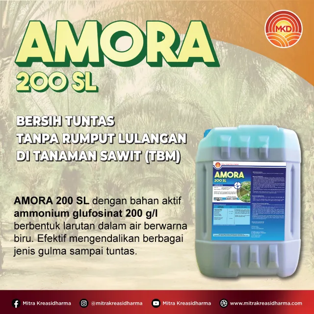 AMORA 200 SL: COMPLETELY CLEAN WITHOUT GRASS LEAVING IN OIL PALM PLANTS (IMMATURE PLANTS)