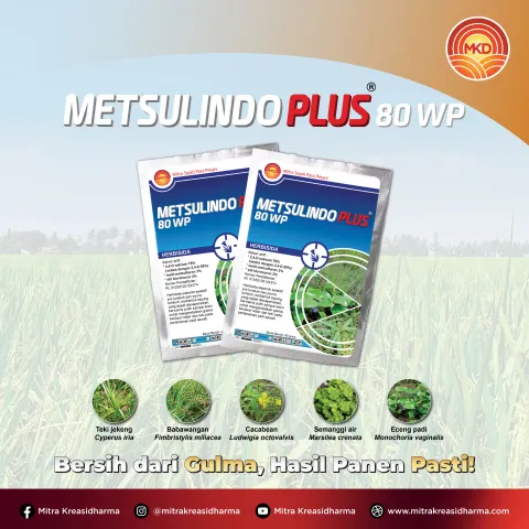 METSULINDO PLUS® 80 WP: CLEAN FROM WEEDS, GUARANTEED HARVEST RESULTS!
