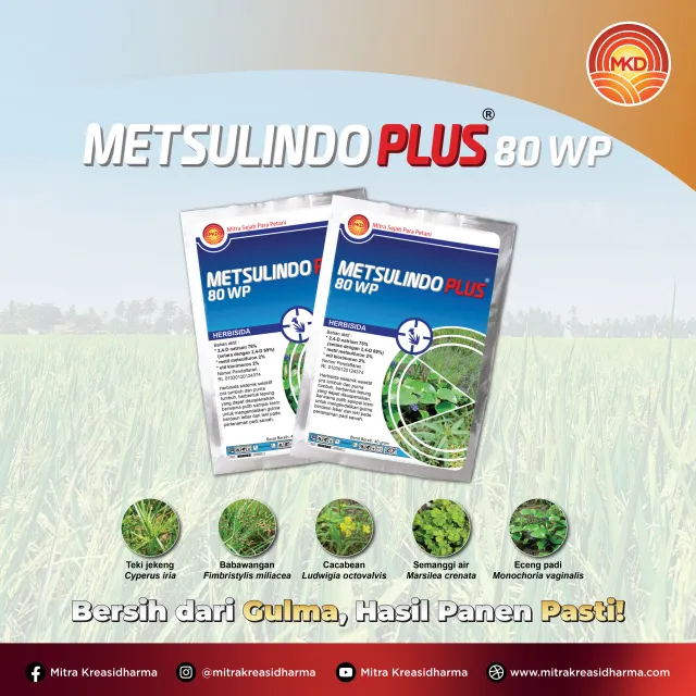 METSULINDO PLUS® 80 WP: BERSIIH DARI GULMA, HASIL PANEN PASTI!