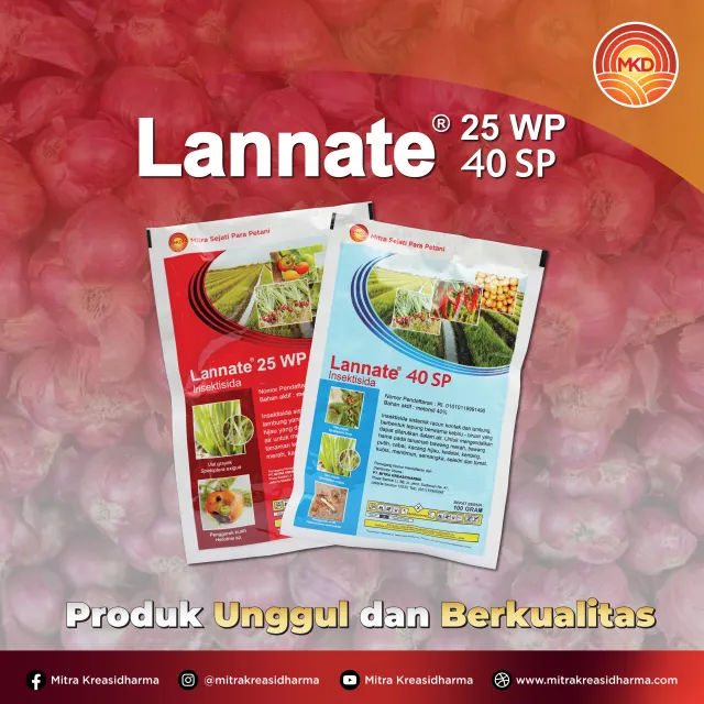 LANNATE® 25 WP DAN 40 SP: INSEKTISIDA ANDALAN PETANI UNTUK PERLINDUNGAN YANG OPTIMAL