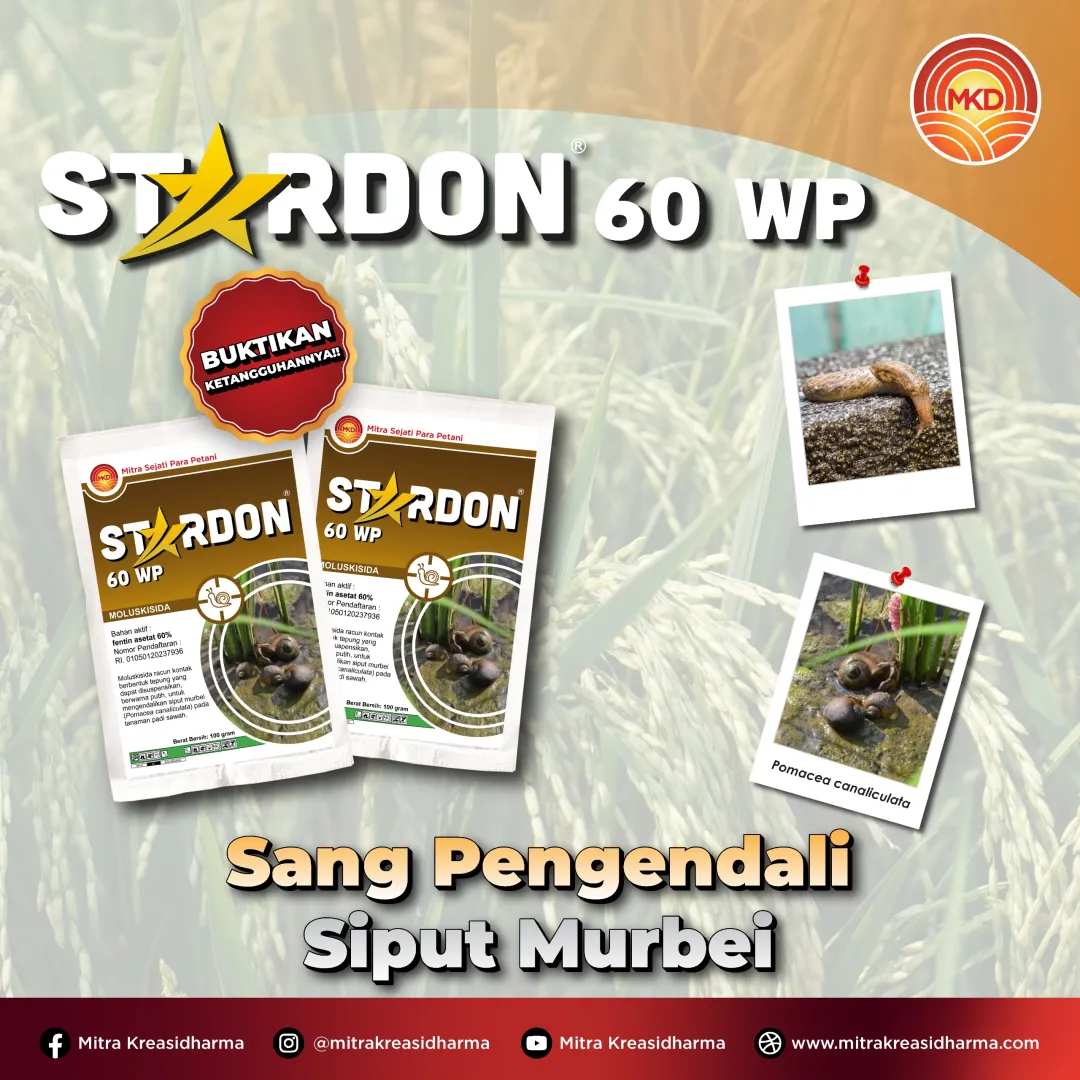 STARDON® 60 WP: SANG PENGENDALI SIPUT MURBEI