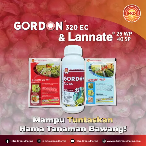 GORDON® 320 EC & LANNATE®: ABLE TO ERADICATE ONION PLANT PESTS!