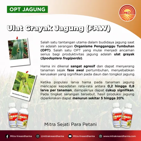OPTIMAL PROTECTION OF CORN PLANTS FROM FALL ARMYWORM ATTACKS WITH EMASIL 30 EC