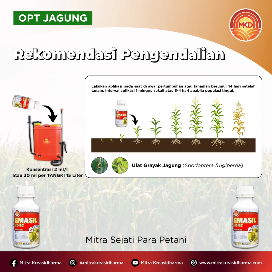 OPTIMAL PROTECTION OF CORN PLANTS FROM FALL ARMYWORM ATTACKS WITH EMASIL 30 EC