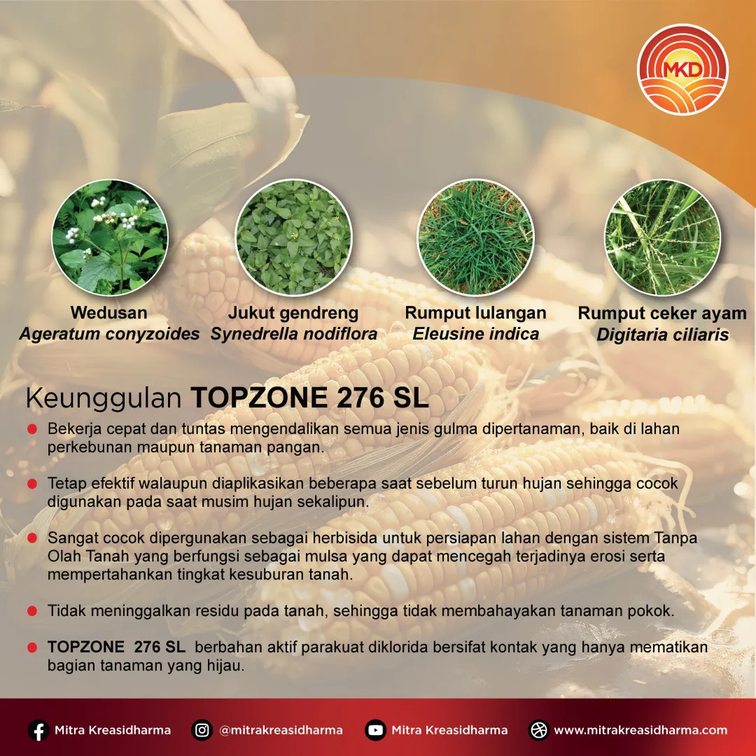 TOPZONE® 276 SL: MENGENDALIKAN GULMA DENGAN CEPAT DAN TUNTAS