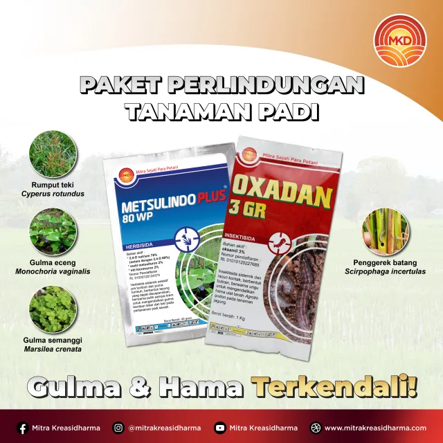 EARLY PLANTING PHASE OF RICE, IT'S TIME TO ACT! USE METSULINDO PLUS® AND OXADAN 3 GR