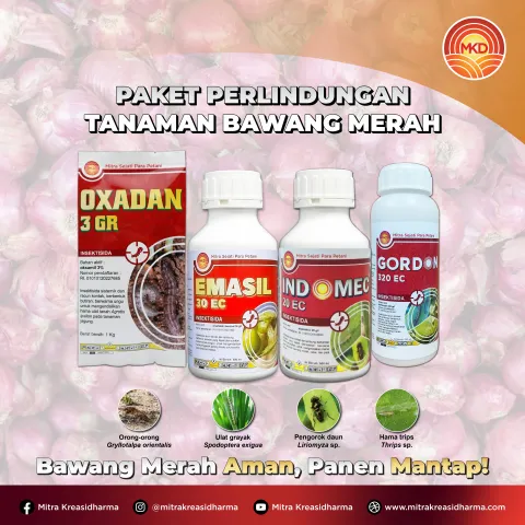 PAKET PERLINDUNGAN TERPADU UNTUK BAWANG MERAH: SOLUSI MENANGKAL HAMA SEJAK AWAL TANAM HINGGA PANEN