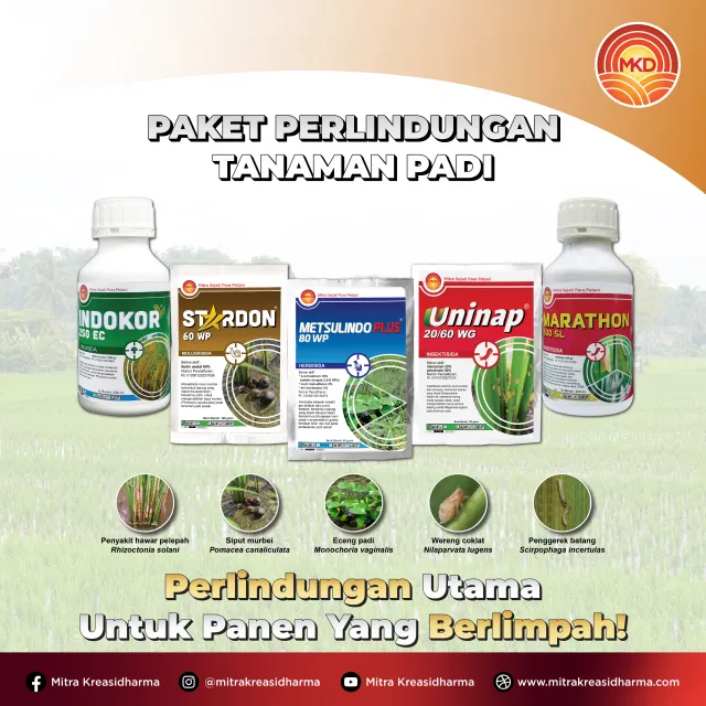 PAKET LENGKAP PERLINDUNGAN PADI DARI PT MITRA KREASIDHARMA: SOLUSI PANEN MAKSIMAL