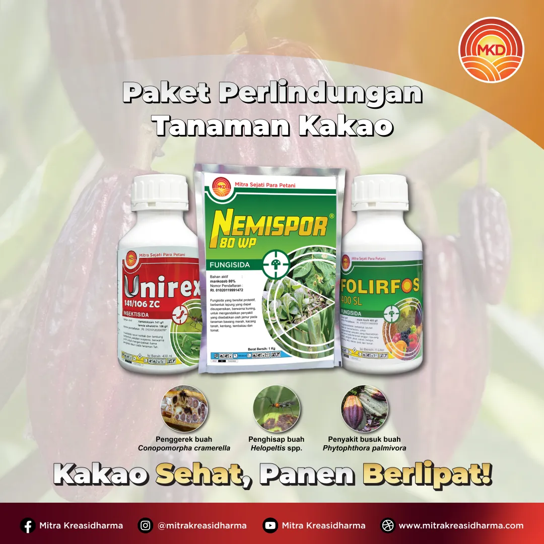 LINDUNGI KEBUN KAKAO ANDA DENGAN PAKET PERLINDUNGAN DARI MKD