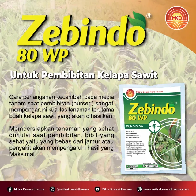 CEGAH BERCAK DAUN SEJAK DINI, JAGA KESEHATAN BIBIT SAWIT DENGAN ZEBINDO®  80 WP