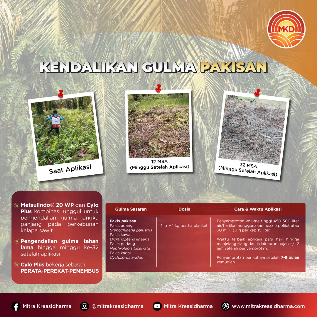 COMPLETE BRACKEN WEED CONTROL: THE METSULINDO® 20 WP AND CYLO PLUS COMBINATION FOR MAXIMUM RESULTS