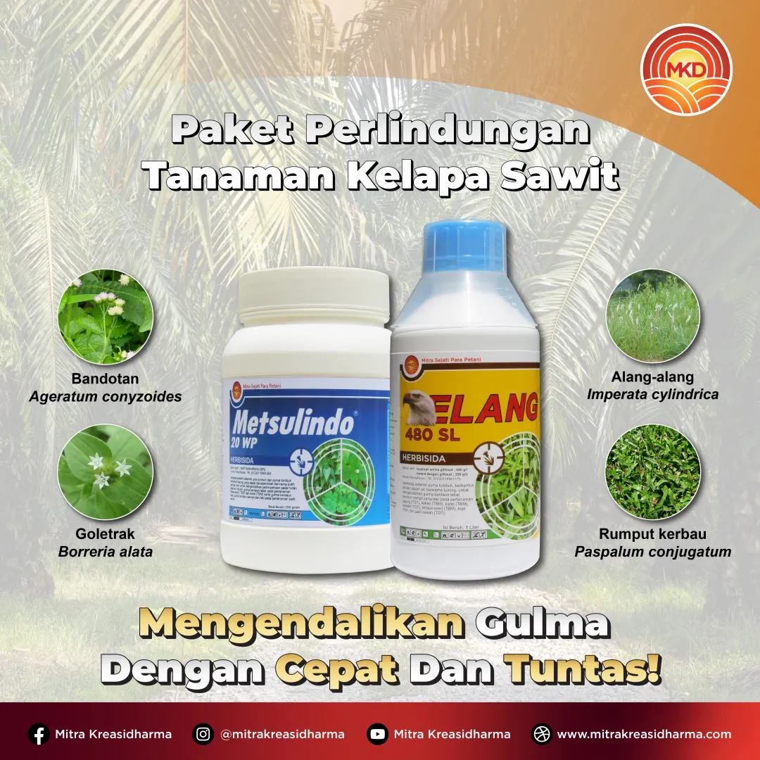 KENDALIKAN GULMA SEJAK AWAL UNTUK HASIL PANEN SAWIT YANG LEBIH MAKSIMAL