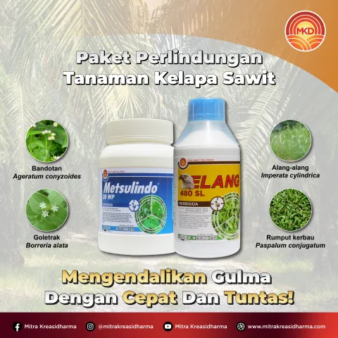 KENDALIKAN GULMA SEJAK AWAL UNTUK HASIL PANEN SAWIT YANG LEBIH MAKSIMAL