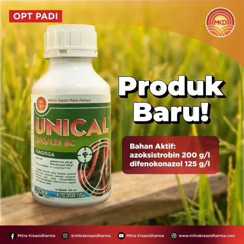 UNICAL® 200/125 SC: SOLUSI ANDAL MELINDUNGI PADI DARI PENYAKIT BLAS