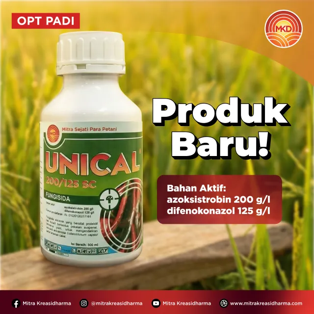 UNICAL® 200/125 SC: SOLUSI ANDAL MELINDUNGI PADI DARI PENYAKIT BLAS