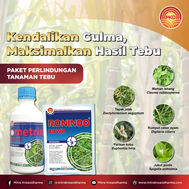 KENDALIKAN GULMA, MAKSIMALKAN HASIL TEBU!