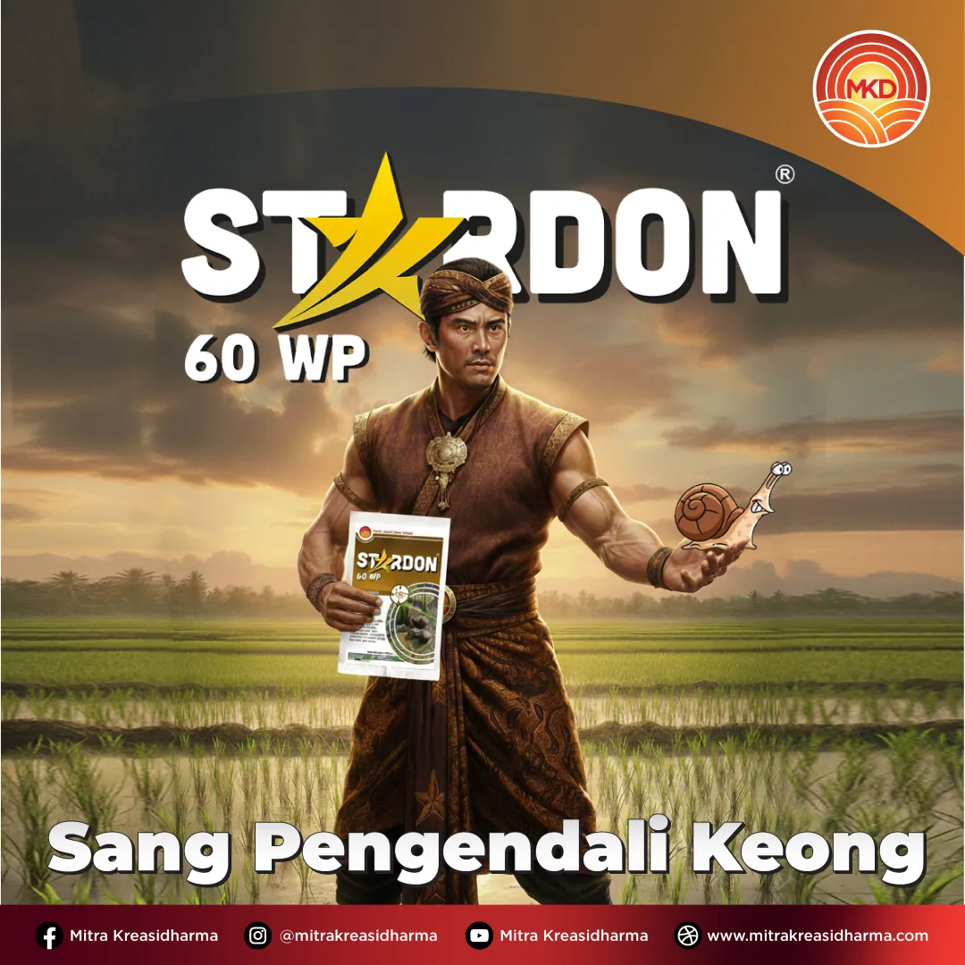 STARDON® 60 WP: SOLUSI CEPAT KENDALIKAN KEONG MAS SEJAK AWAL TANAM PADI!