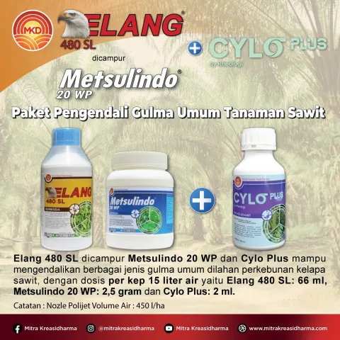 Control Weeds, Maximize Your Palm Oil Yield