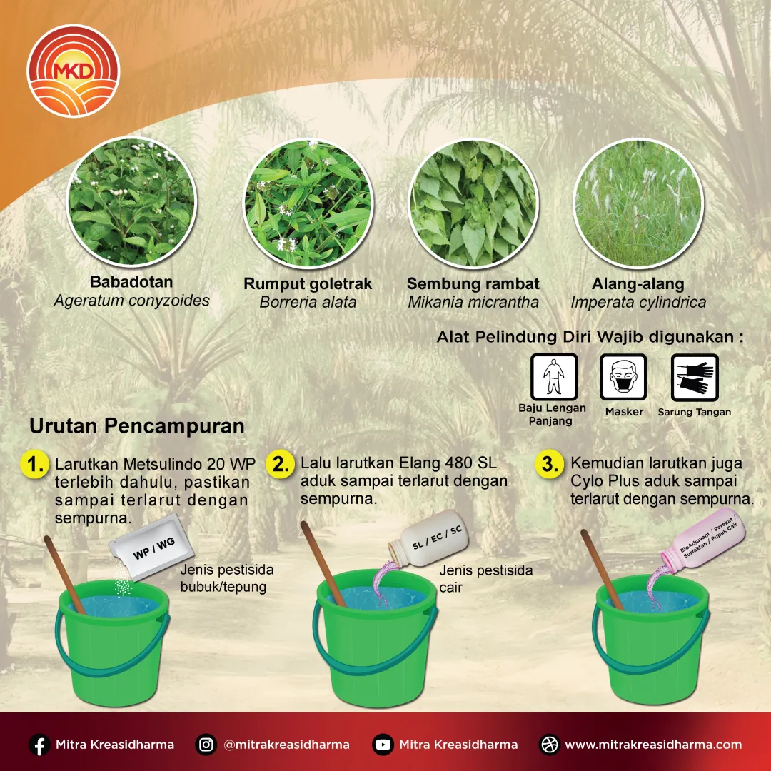 Kendalikan Gulma, Maksimalkan Hasil Sawit Anda