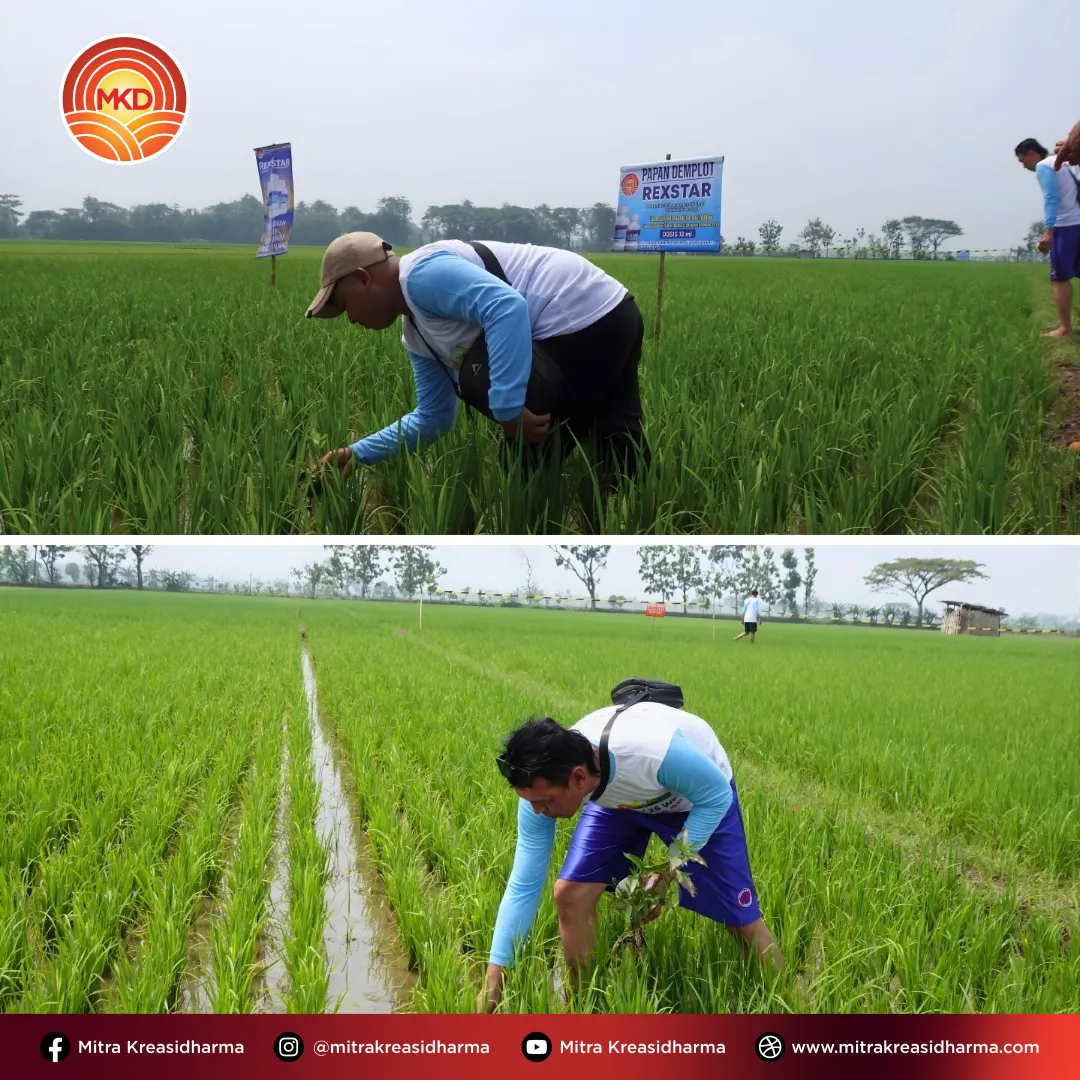Meningkatkan Kompetensi Tim melalui Product Knowledge Training MKD di Jawa Tengah