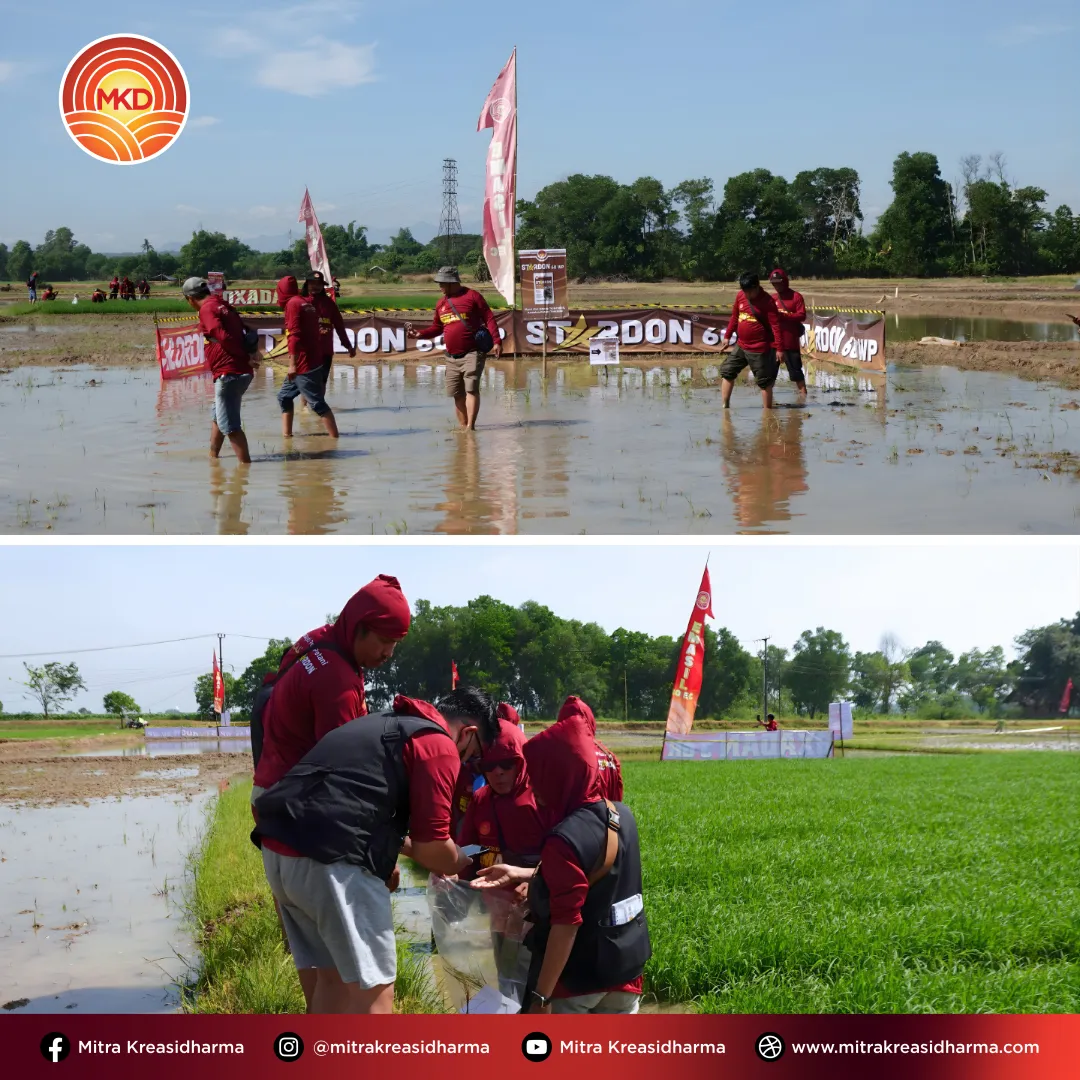 Dari Materi ke Aksi Nyata: MKD Perkuat Tim Lapangan di Jawa Barat
