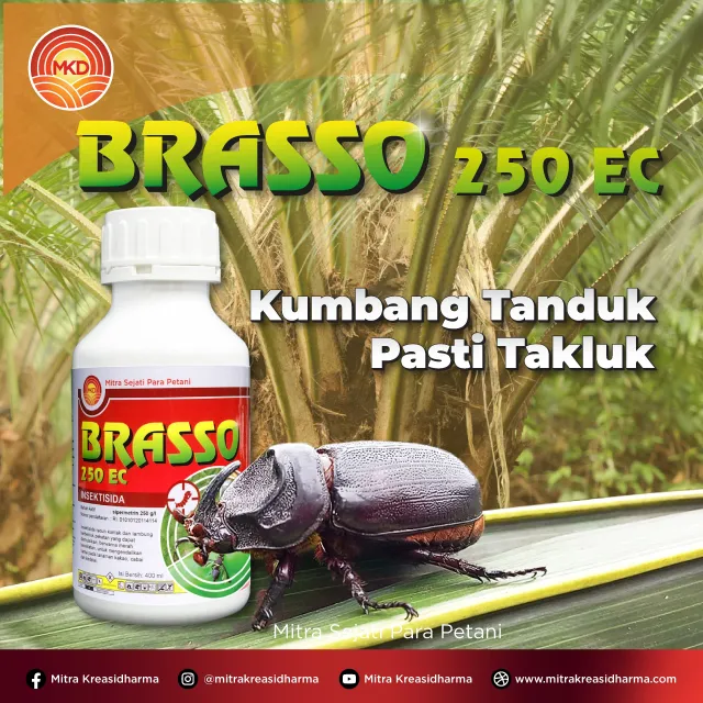 Kumbang Tanduk Mengancam Sawit? Kendalikan Cepat dengan BRASSO 250 EC