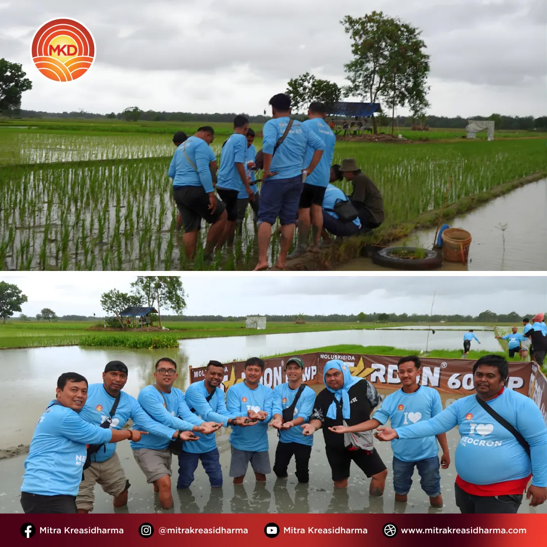 Memperkuat Kesiapan Tim di Sumatra Utara dan Aceh melalui Field Assistant Training