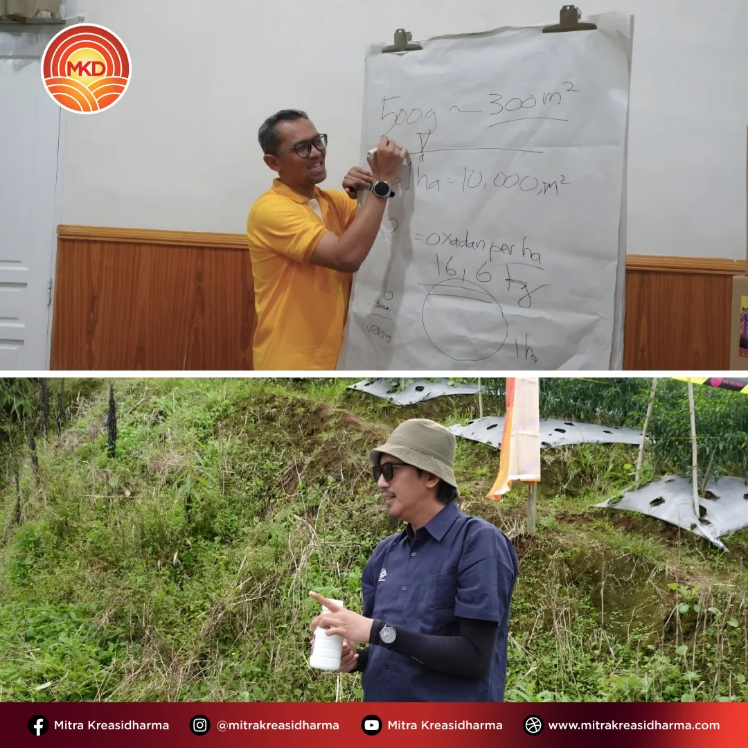 Memperkuat Sinergi Tim Lapangan melalui Field Assistant Meeting and Training di Sumatra Barat dan Riau