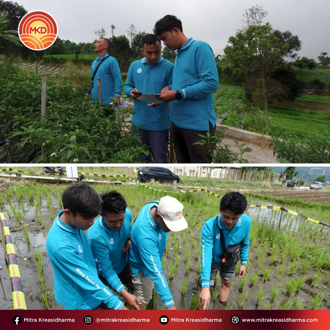 Memperkuat Sinergi Tim Lapangan melalui Field Assistant Meeting and Training di Sumatra Barat dan Riau