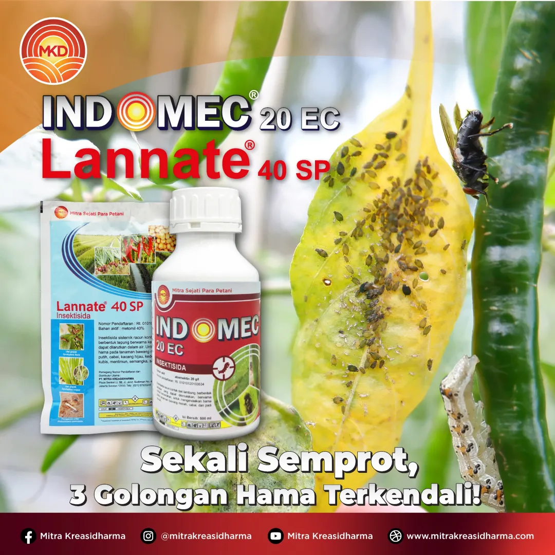 Satu Solusi untuk Tiga Golongan Hama: INDOMEC® 20 EC & LANNATE® 40 SP