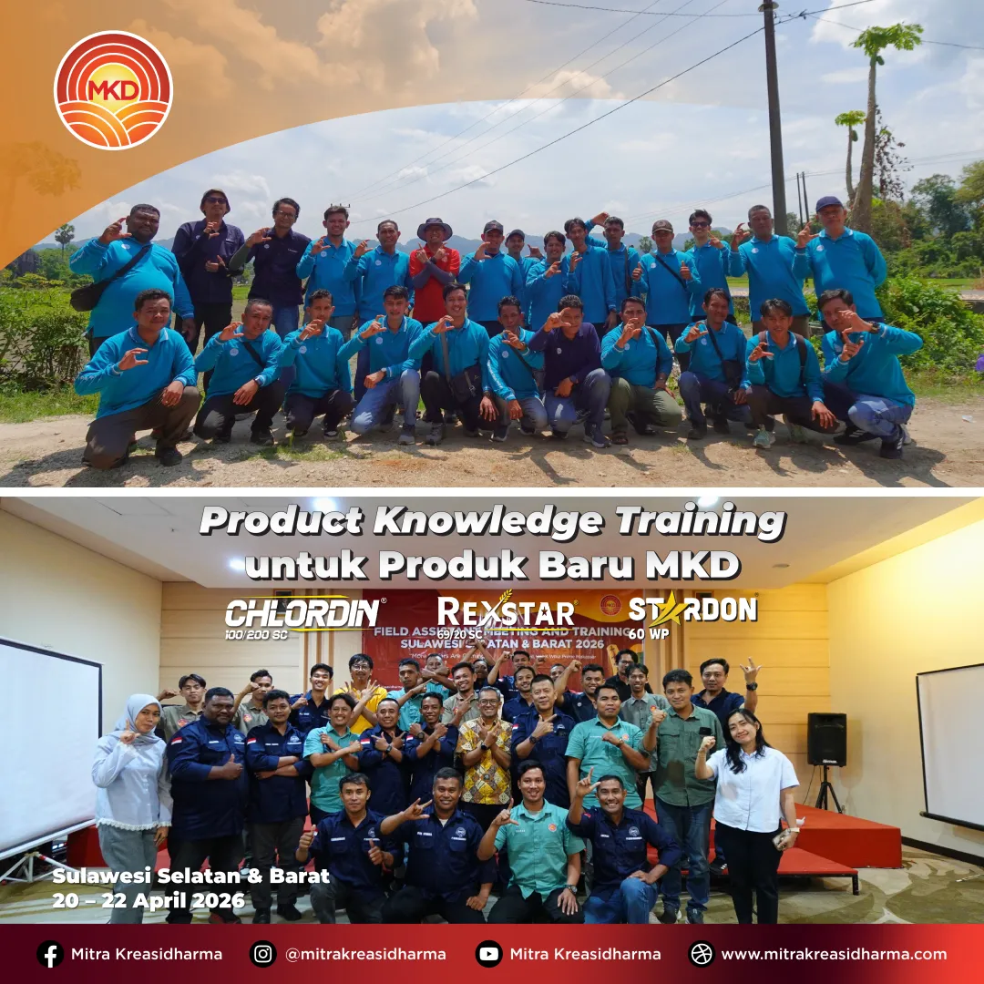 Memperdalam Insight Lapangan: Penguatan Kapabilitas Tim di Sulawesi Selatan dan Barat