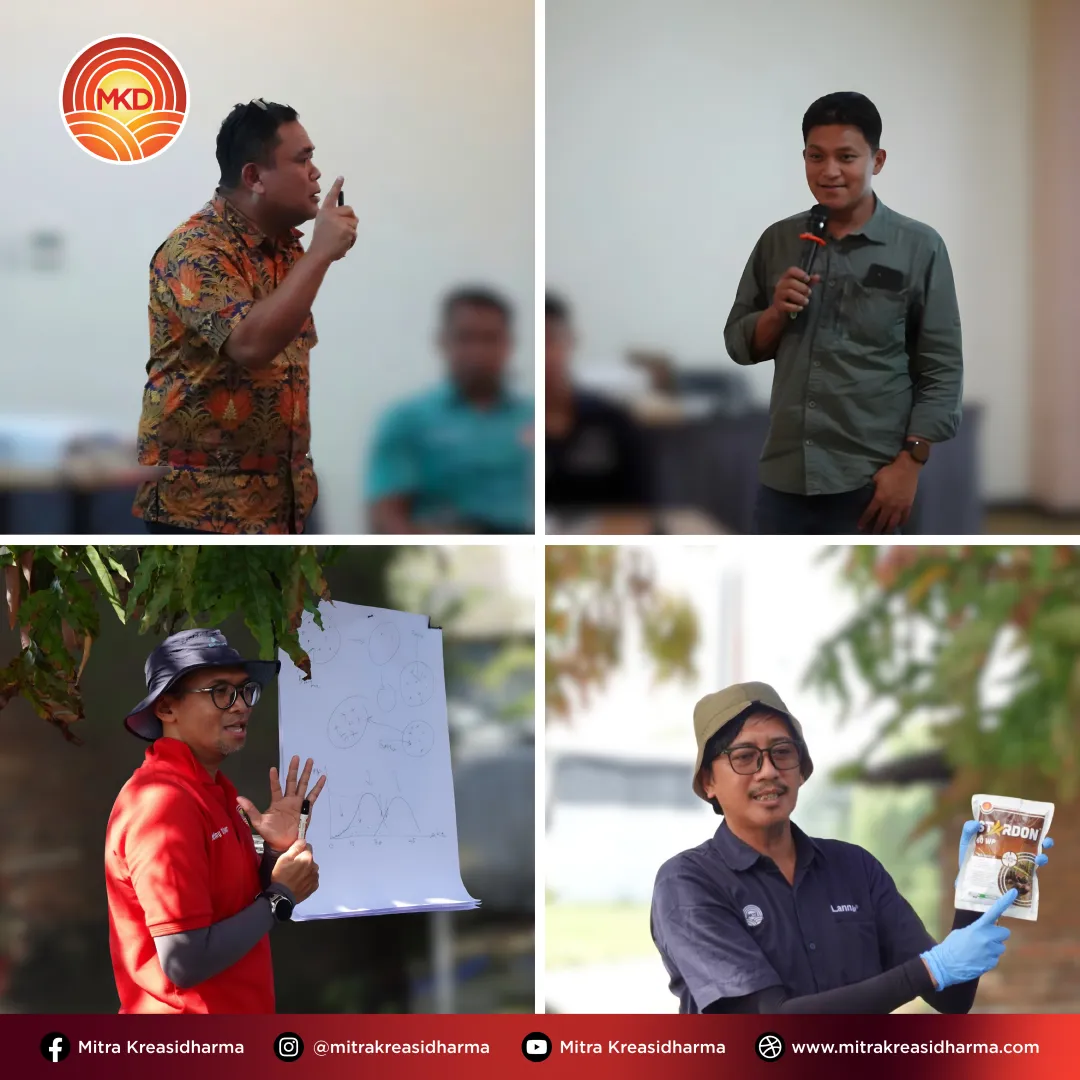 Memperdalam Insight Lapangan: Penguatan Kapabilitas Tim di Sulawesi Selatan dan Barat