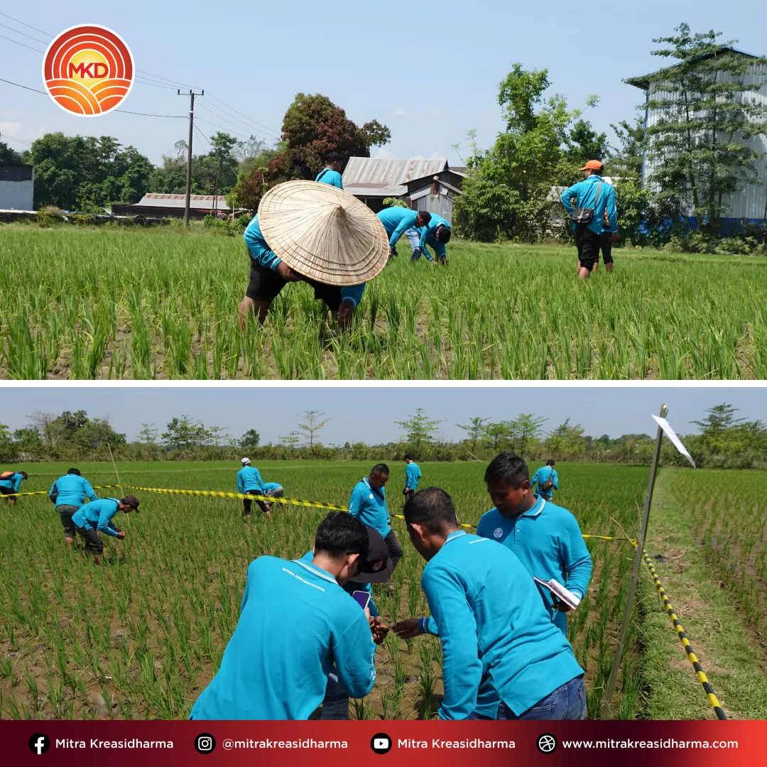 Memperdalam Insight Lapangan: Penguatan Kapabilitas Tim di Sulawesi Selatan dan Barat