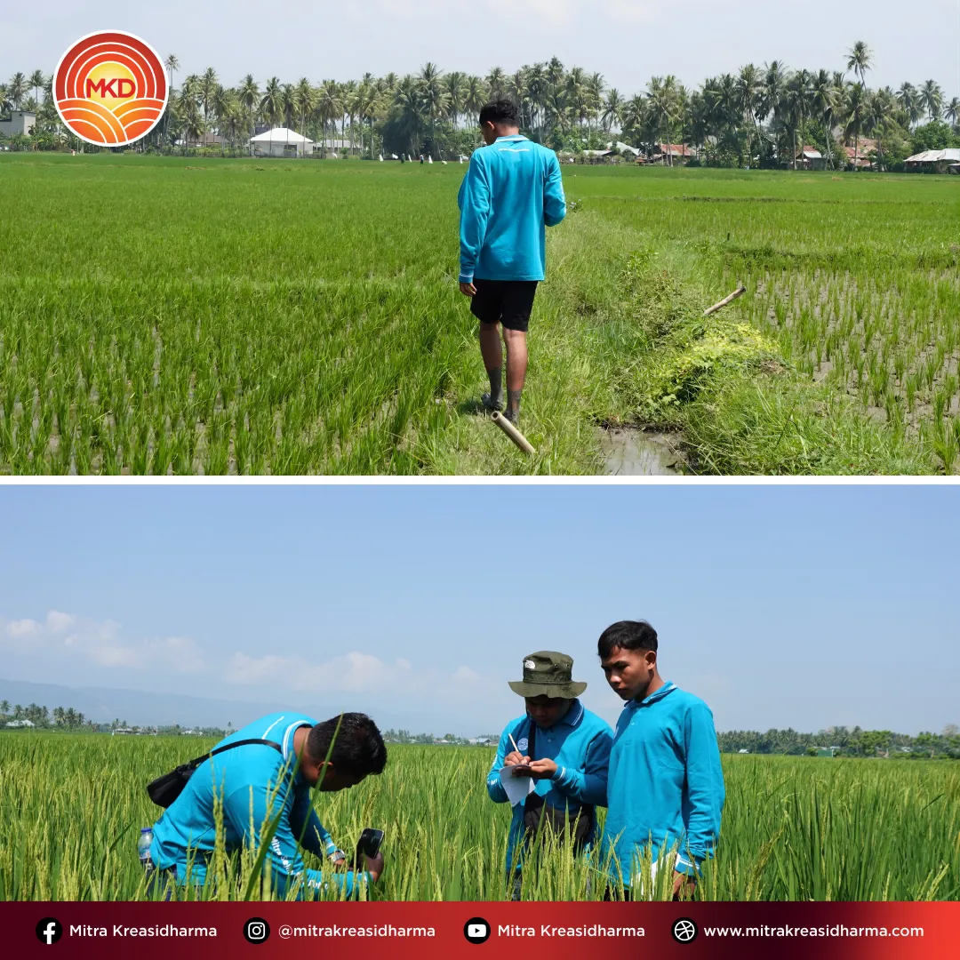 Mendorong Pertumbuhan Berkelanjutan melalui Training and Development di Sulawesi Utara, Tengah, dan Gorontalo