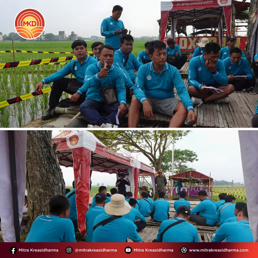 Siap di Lapangan: Penguatan Field Assistant MKD di Lampung
