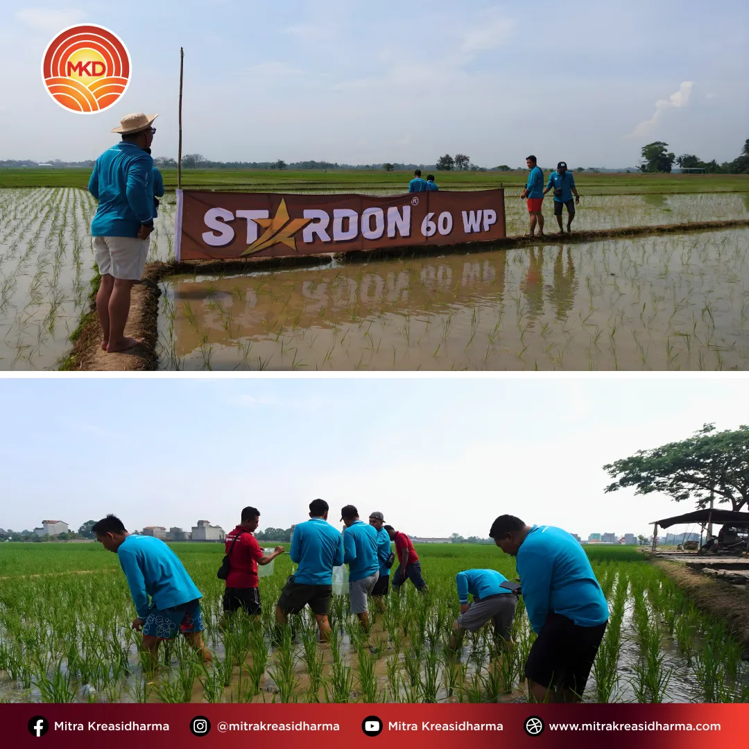 Siap di Lapangan: Penguatan Field Assistant MKD di Lampung