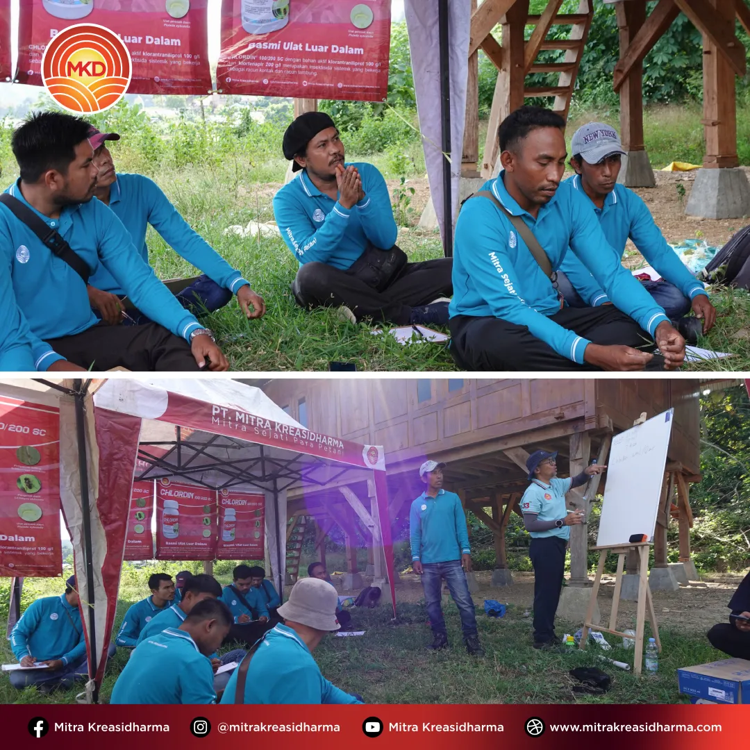 MKD Hadirkan Solusi Pertanian Adaptif melalui Training Product Knowledge di NTB