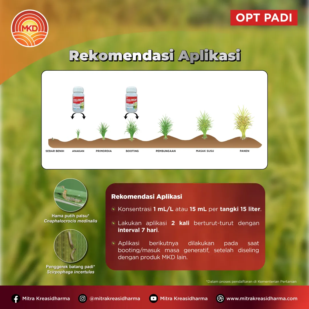 CHLORDIN® 100/200 SC Resmi Hadir, Solusi Perlindungan Tanaman dari PT Mitra Kreasidharma