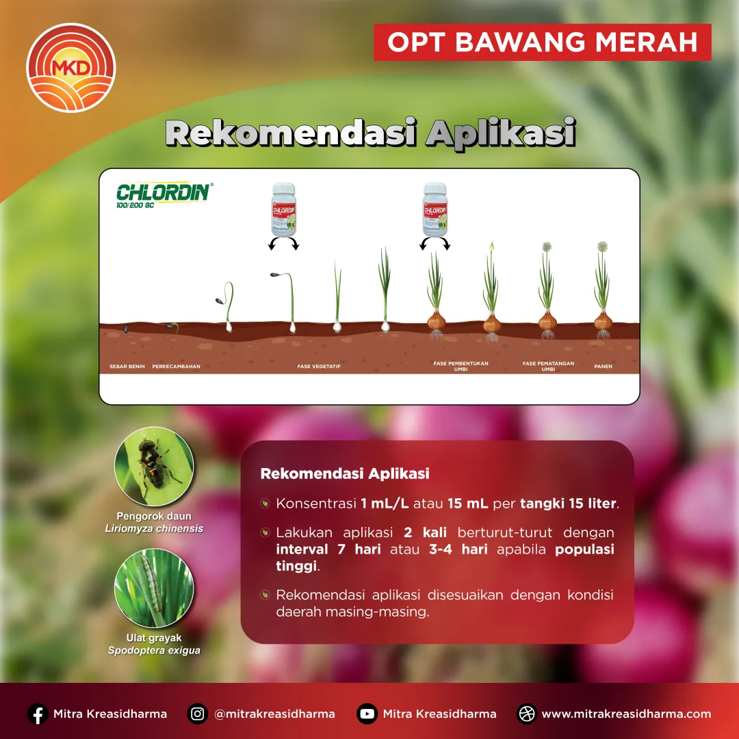 CHLORDIN® 100/200 SC Resmi Hadir, Solusi Perlindungan Tanaman dari PT Mitra Kreasidharma