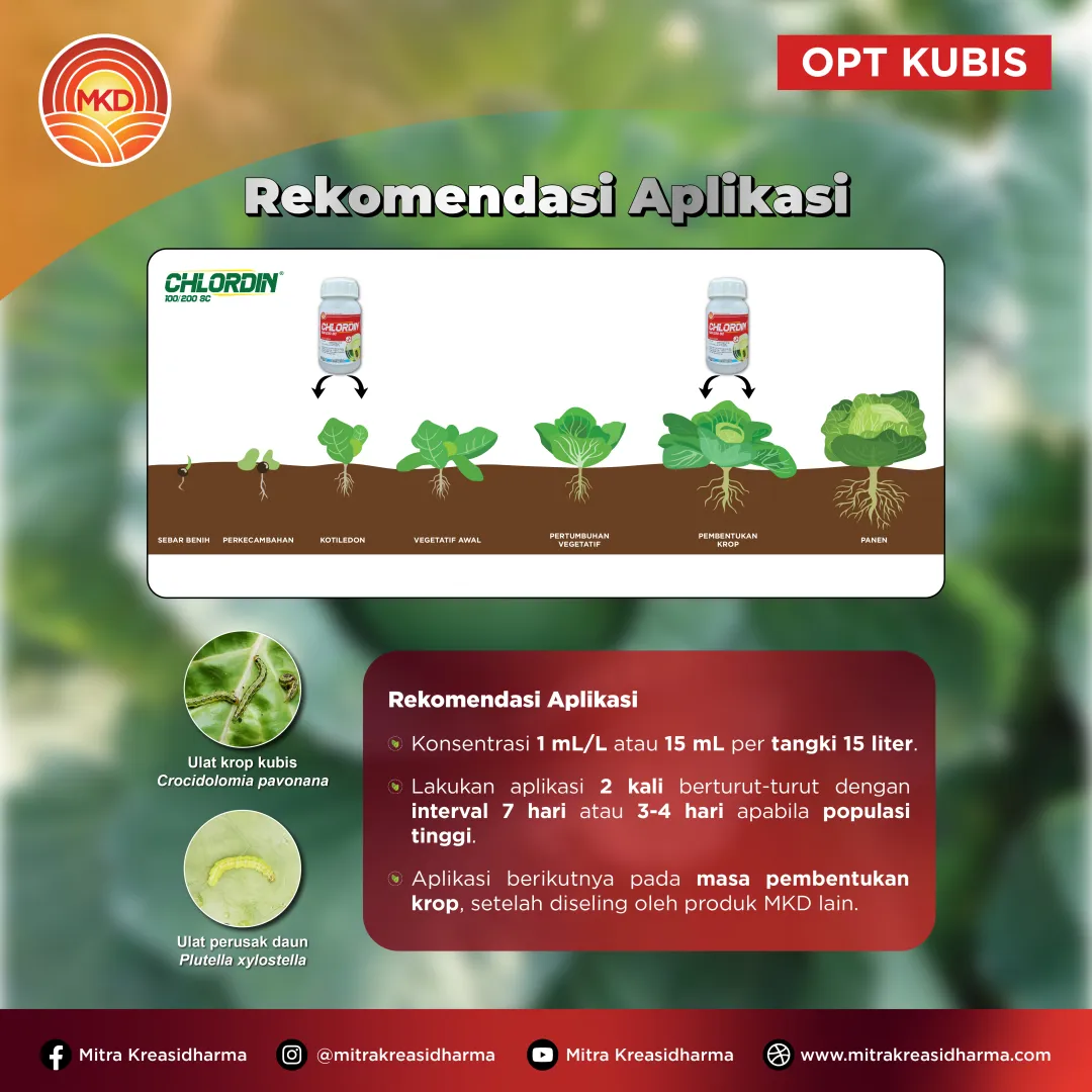 CHLORDIN® 100/200 SC Resmi Hadir, Solusi Perlindungan Tanaman dari PT Mitra Kreasidharma