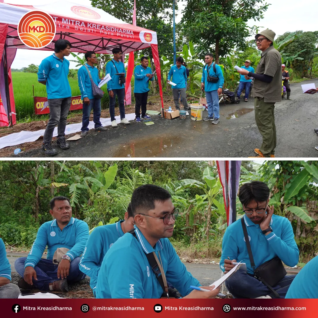 Memperkuat Pengetahuan Produk untuk Mendukung Pertanian Kalimantan
