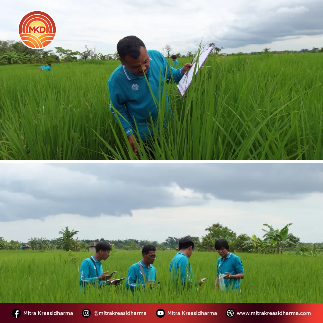 Memperkuat Pengetahuan Produk untuk Mendukung Pertanian Kalimantan