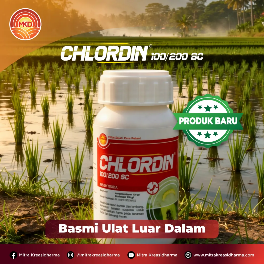 Lindungi Padi Sejak Awal dari Serangan Penggerek Batang dengan CHLORDIN® 100/200 SC