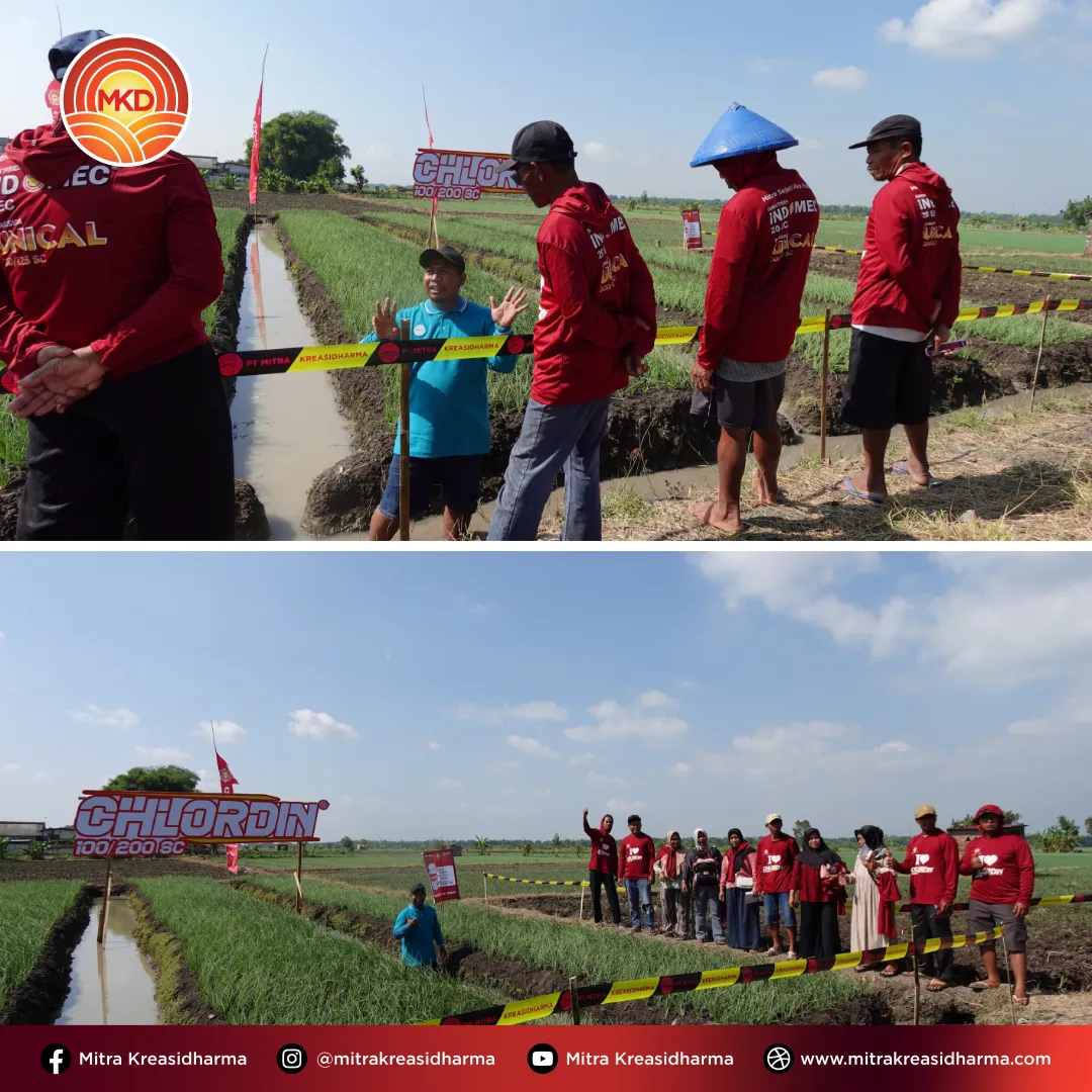 Kegiatan Peluncuran Produk Baru CHLORDIN® 100/200 SC di Nganjuk, Jawa Timur