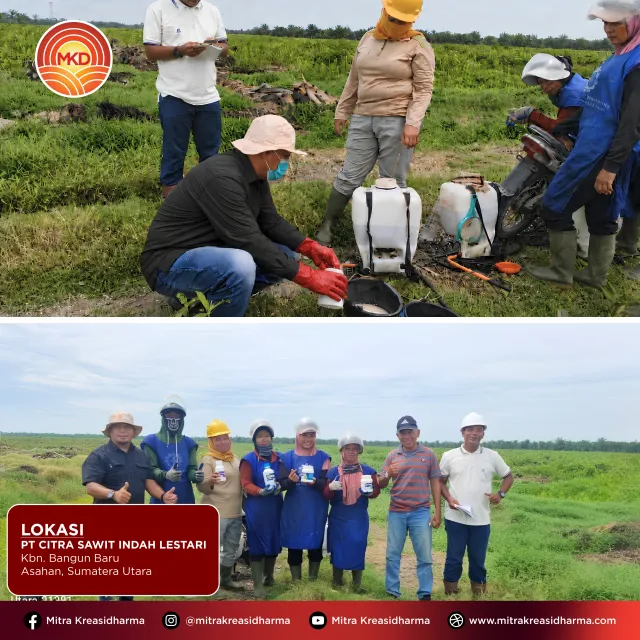Langkah Nyata MKD Mendukung Perkebunan Sawit yang Lebih Produktif