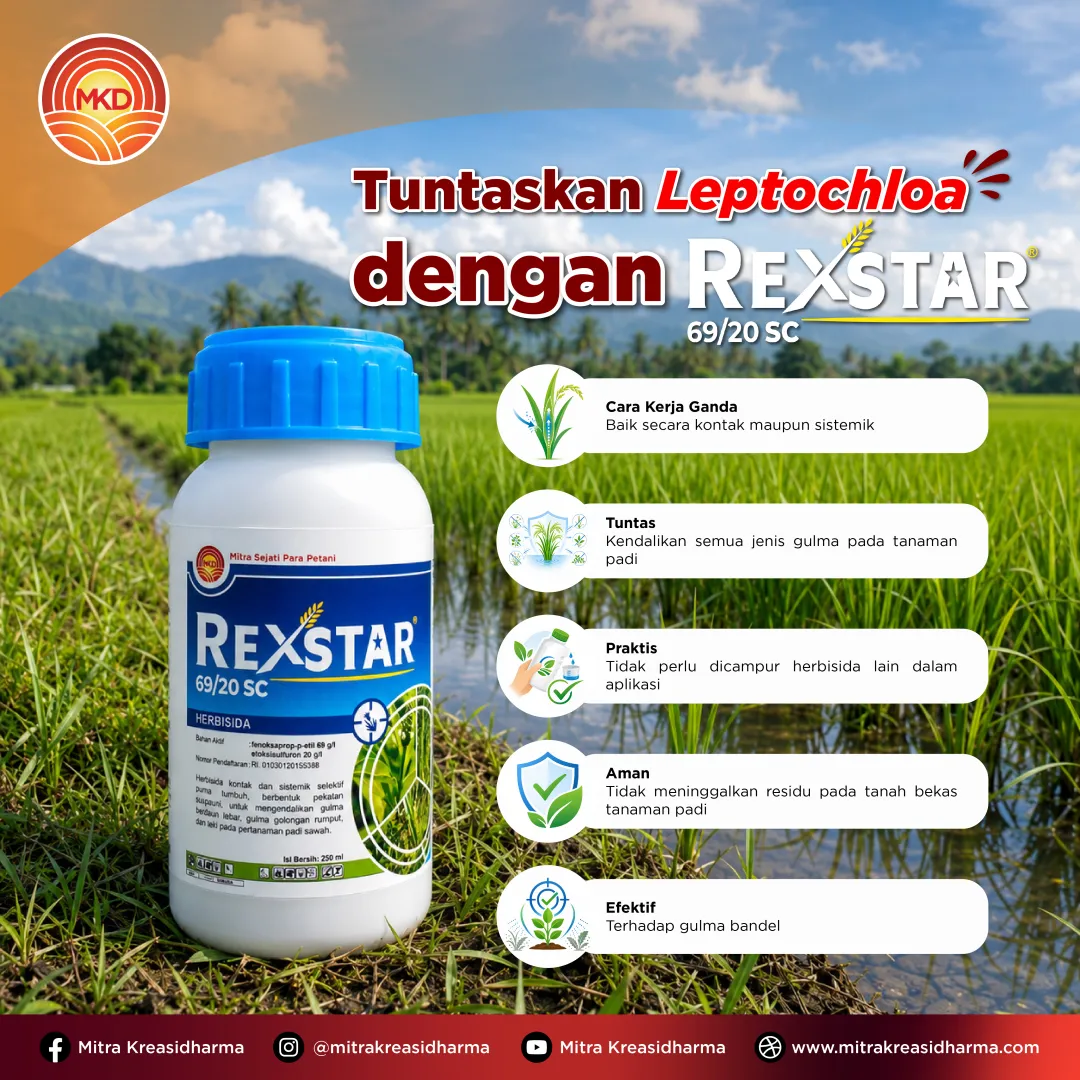 REXSTAR® 69/20 SC: Solusi Tuntas Kendalikan Gulma Sejak Dini