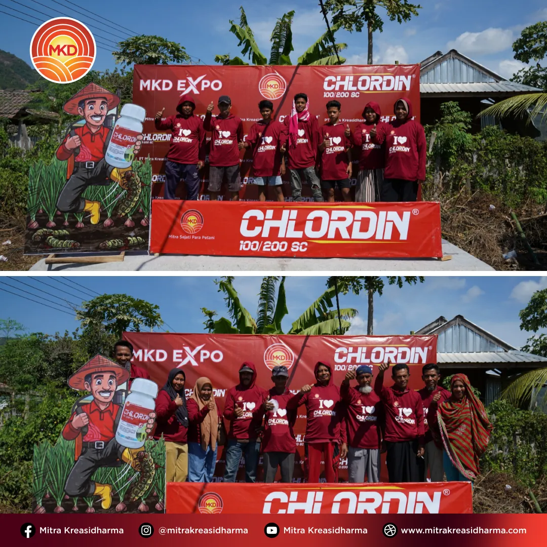 Launching CHLORDIN® 100/200 SC di Bima: Antusiasme Petani Sambut Solusi Perlindungan Tanaman