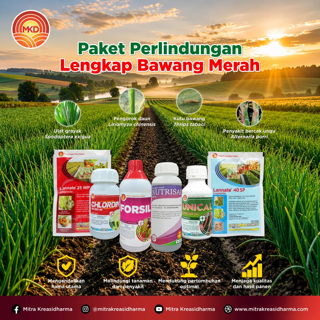 Comprehensive Protection for Shallots: Solutions to Pests, Diseases, and Nutritional Needs